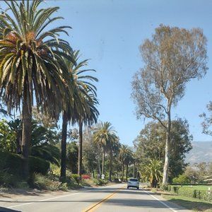 Meet your Posher, Destiny